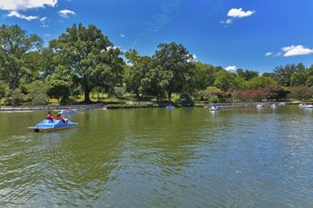 Close to pullen park